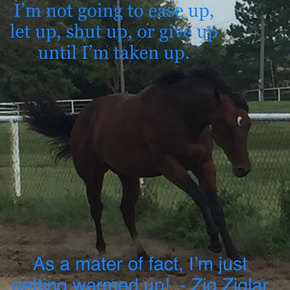 Meet your Posher, Tammy - Picture 6 of 8